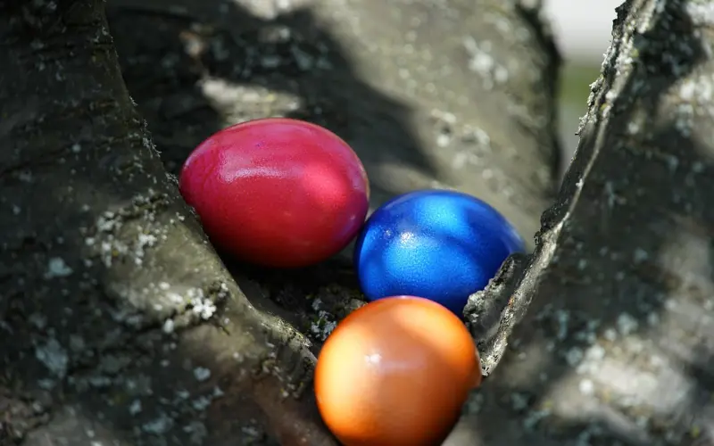 姑娘，你有选“潜力股”的眼光吗？