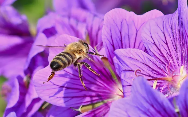 《闺蜜2》：女人可以没男朋友，但不能没闺蜜