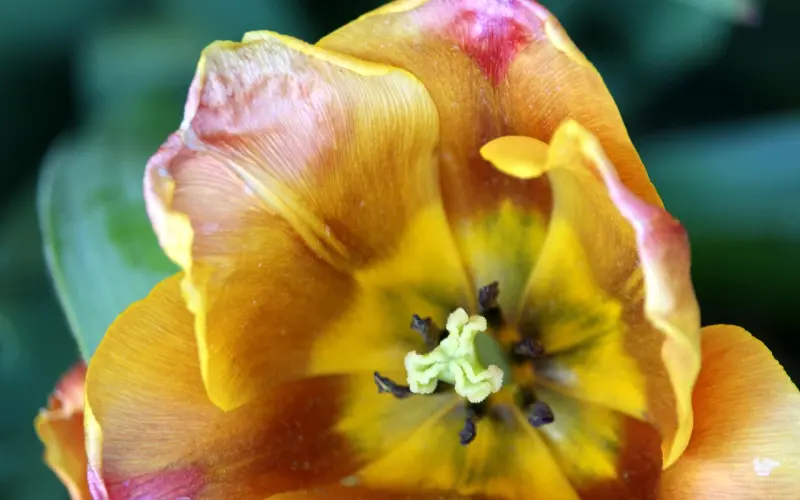 妹子勿戳：为了写篇飞机杯测评，女朋友差点要了我的命