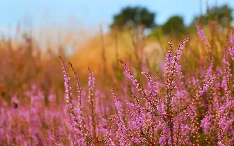 女生一般分手后第几天最难熬，情感专家教你如何缓解心情