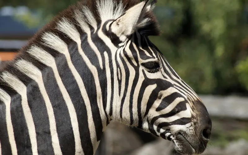女生最讨厌和这样的男生聊天 中3条以上就想拉黑