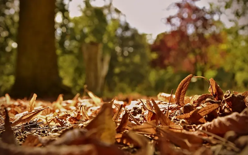 这4种情况下的女生，最容易追！