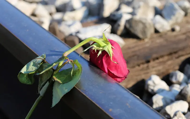 女生失恋后痛苦的表现