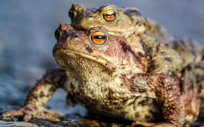 觉得另一半自卑的姑娘，给你提个醒