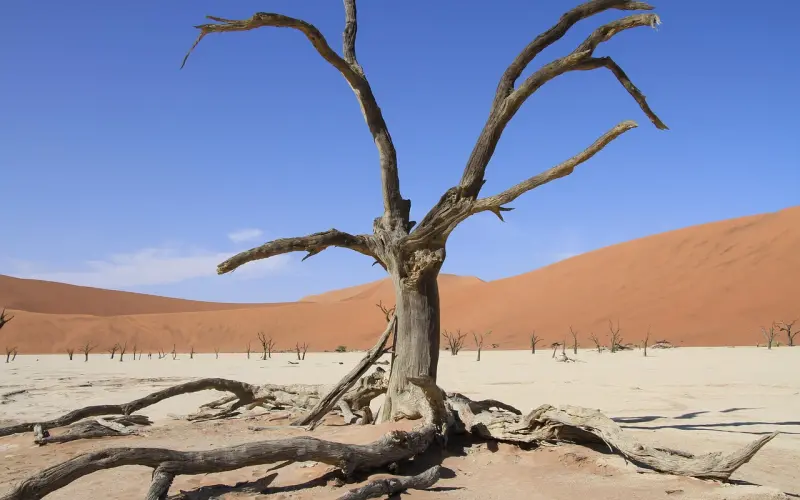 如胶似漆VS冷酷无情，女人为什么难挽回？