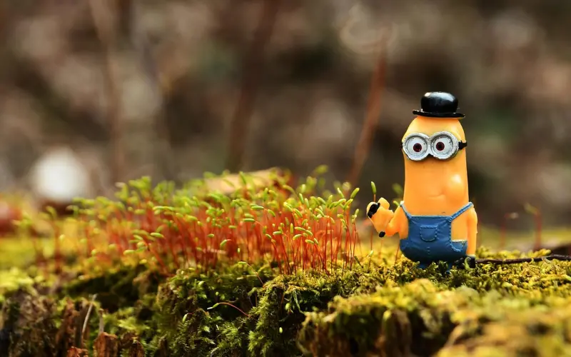 晚安走心术：女人最喜欢听的9句话