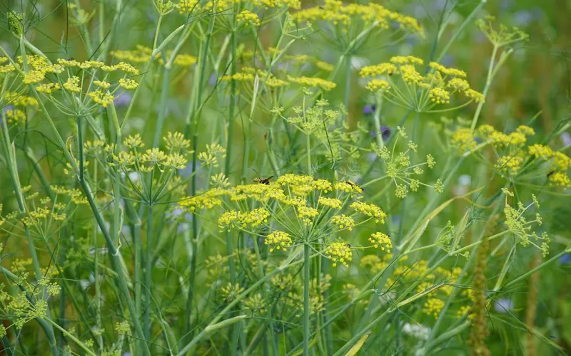 七月再见，八月你好