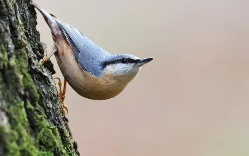 抓住男人的这些“弱点”，他会宠你如宝，学着点