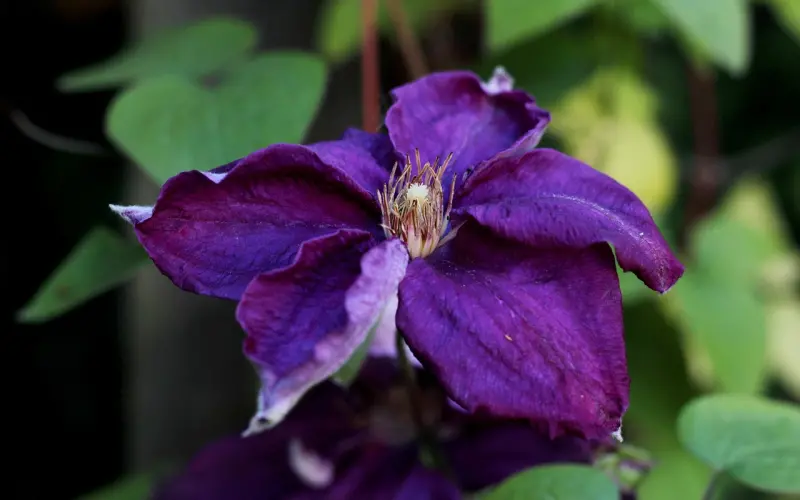 长这么大，你有哪些事情是没做过的？