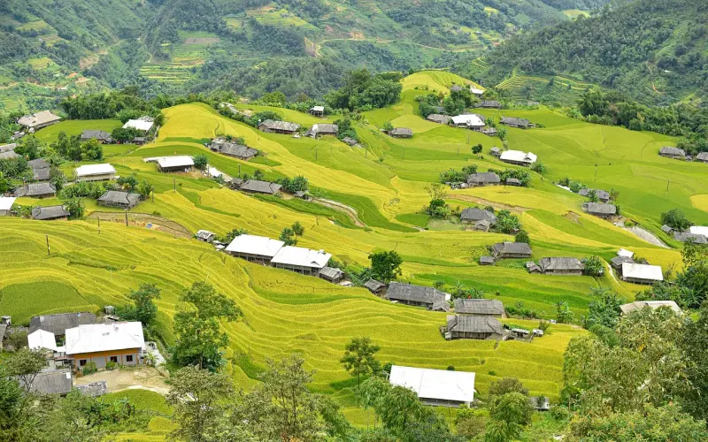 现实版「江直树」捕获指南