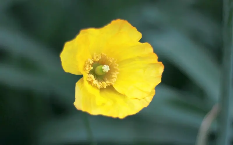 鬼节的睡前故事