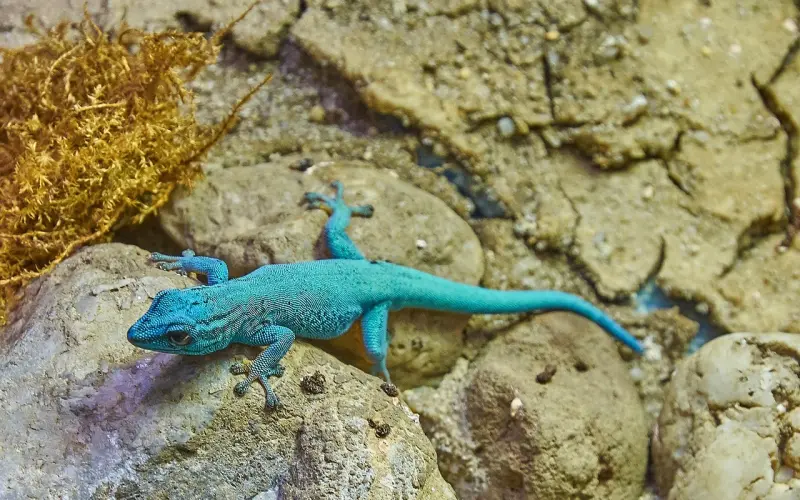 韩庚公布恋情：真爱，不怕姗姗来迟