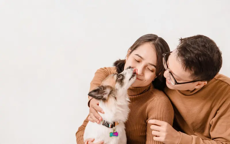 浩然：舔狗的日常“幸福”生活