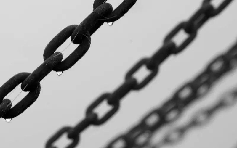 你了解过“二哥丰”郑智勇吗？（下）