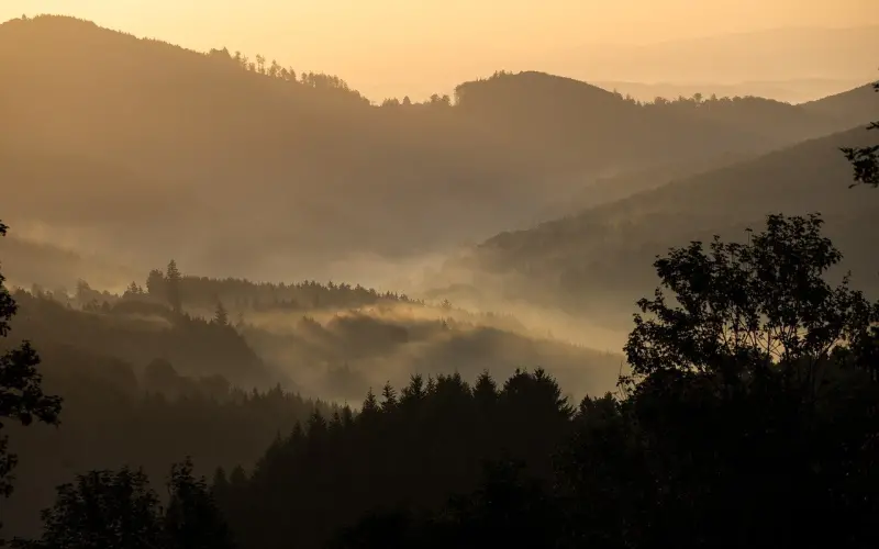 分手后挽回的黄金时间期，你掌握了吗？