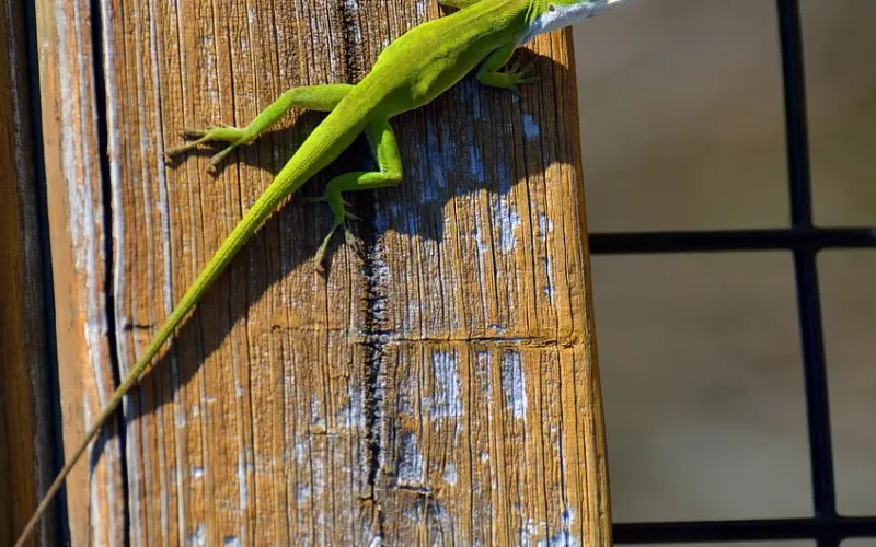 有个会撒娇的女朋友，给爱情生活增添一丝甜蜜