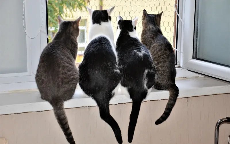 一起共享过这几样东西，你们之间的关系早就不在是普通了