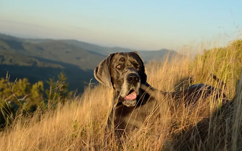 他让我帮他管钱，到底什么意思？