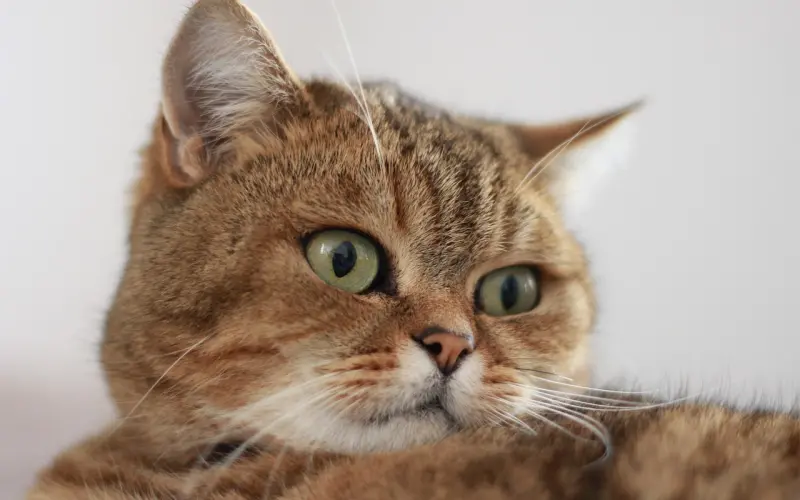 他夸我漂亮，是喜欢我吗？