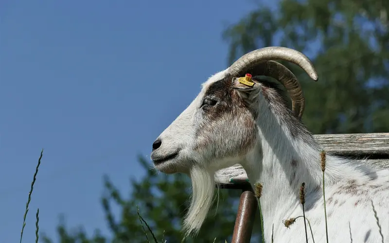 他从来没爱过你，你有资格说放弃？