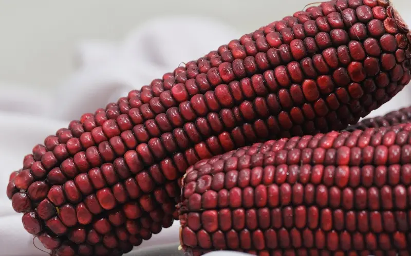 他对我的改变无动于衷，挽回是否就没有希望了？