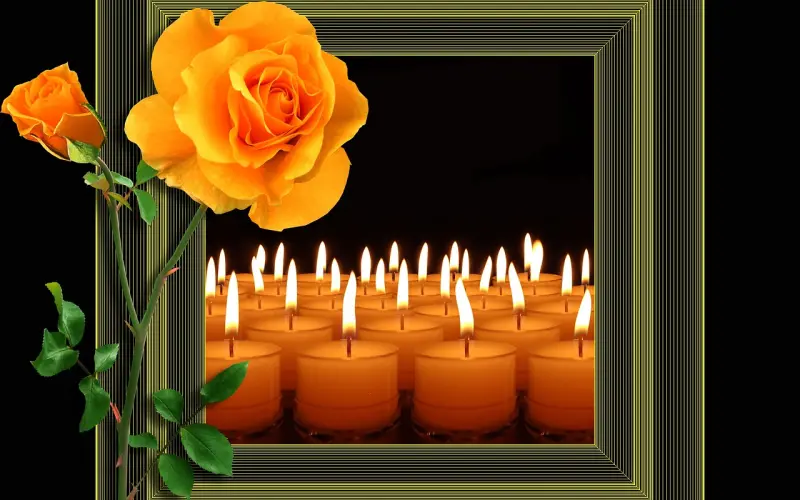 他还愿意跟我一起睡，但不爱我了