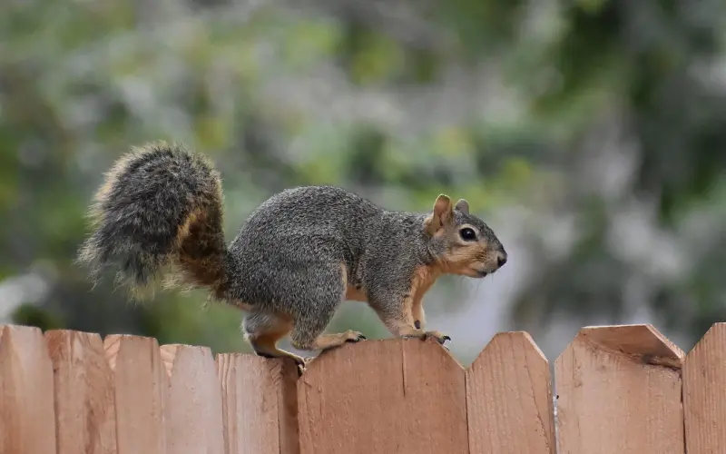 他说太累了要怎么挽回