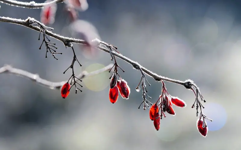 他说不确定能不能跟我一起走下去