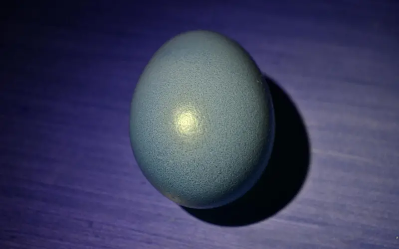 他突然问我可不可以换老婆，我不淡定了...