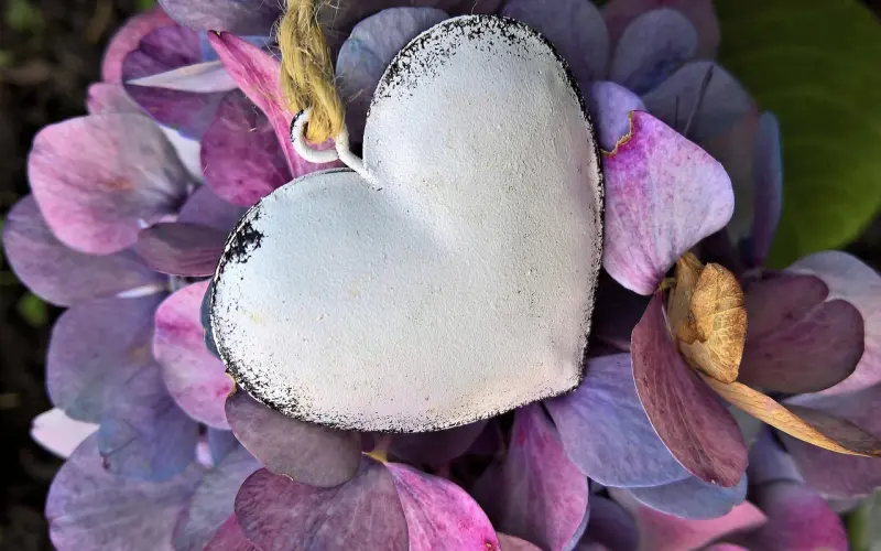 让女生感动到哭的超暖心话