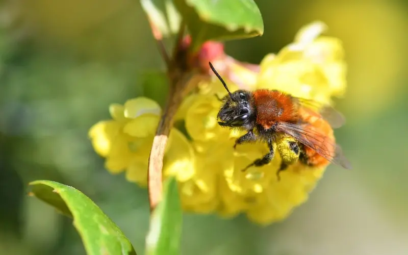 合欢：聊天尬聊？学会狠招让你话题无限