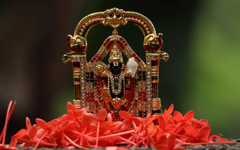 您好，请问是爱冷大神吗？——「全民情敌 · 43章」