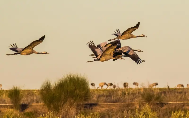 男友想要和你分手 一般会有以下10个征兆