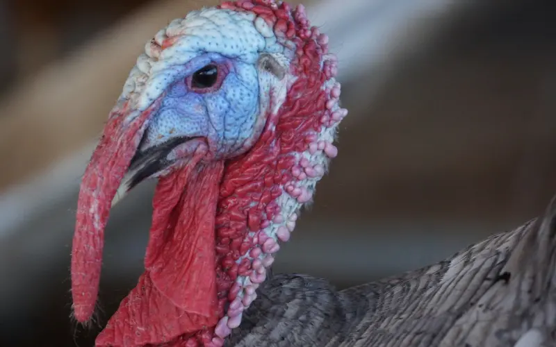 给你3个建议：防止看不清现实而错过好男人