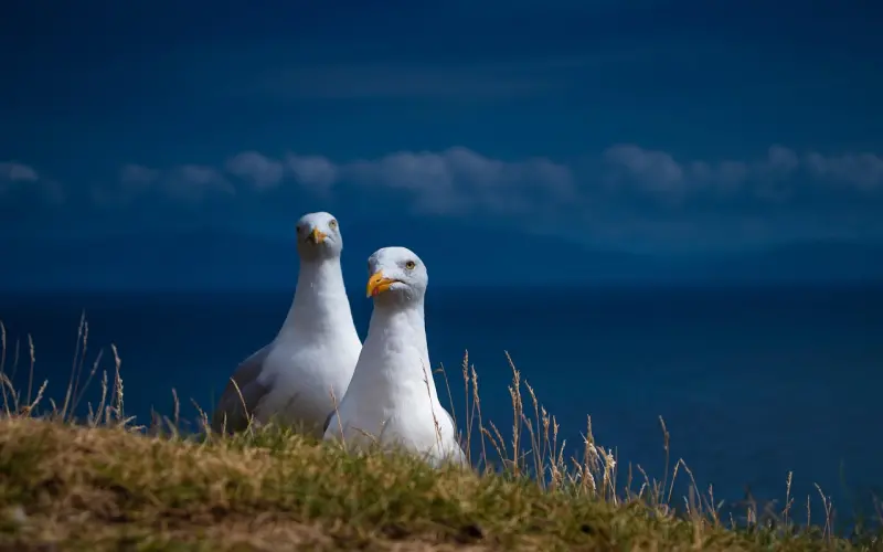 让你提高快感的这几点方法