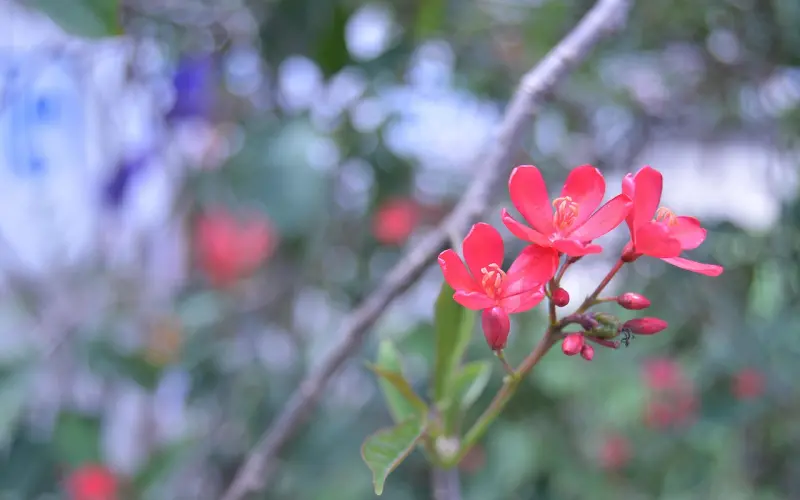 高情商才是一辈子的春药啊！