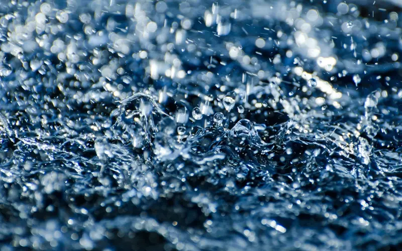 前方高能！冷大要来武汉演讲啦~