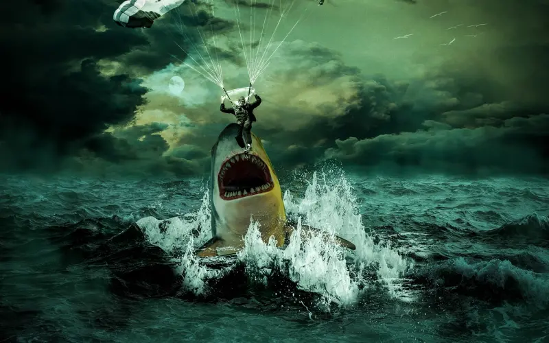 前方高能！注意避开挽回复联中的四大负面定律