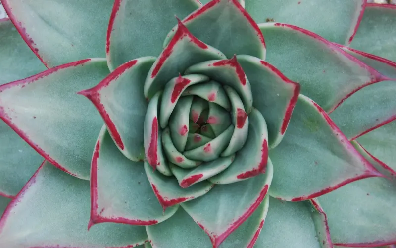 你比你爸妈高级在哪儿？