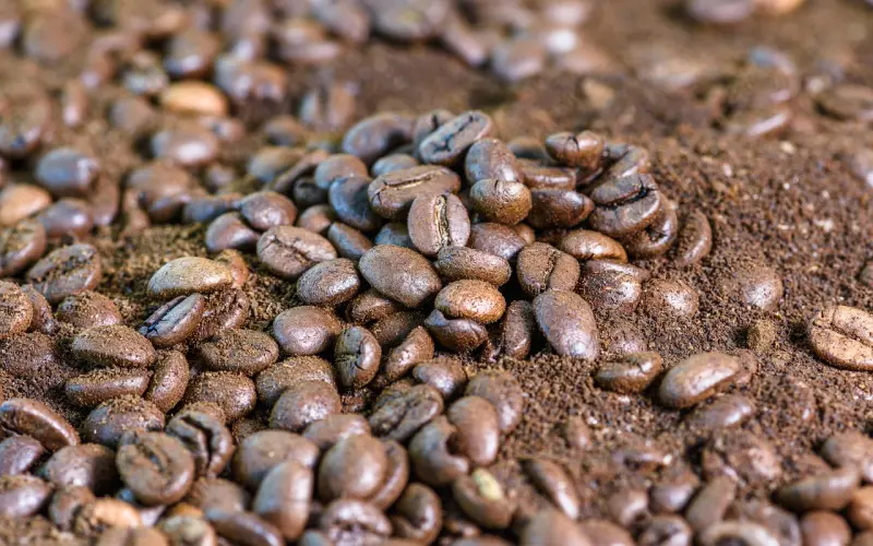 “渣女能渣到什么程度？”