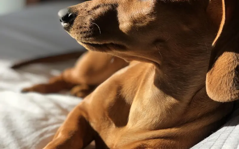 女生爆PU导致分手如何挽回男友？