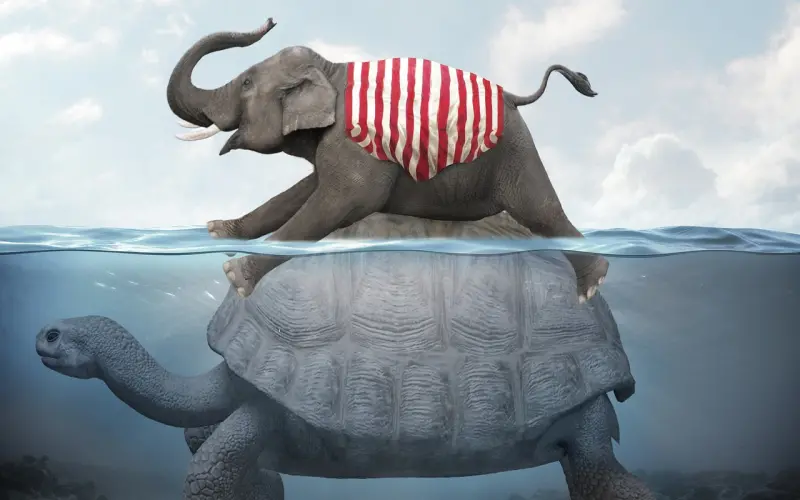 出轨后不爱老公了怎么挽回？实用操作方法分享