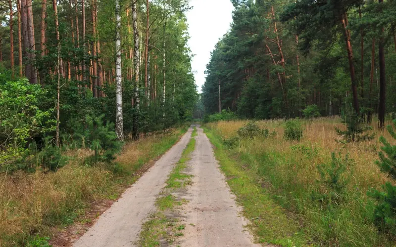 孕期老公坚决离婚怎么挽回？情感专家教你有效方法！