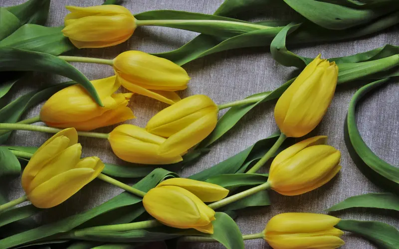 男朋友吵架后冷暴力两个月怎么和好