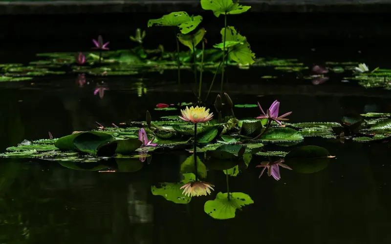 没感觉了见面怎么挽回