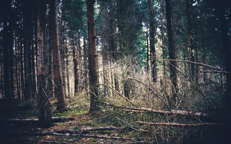 如何挽回骂我反感的前男友，让爱重燃？