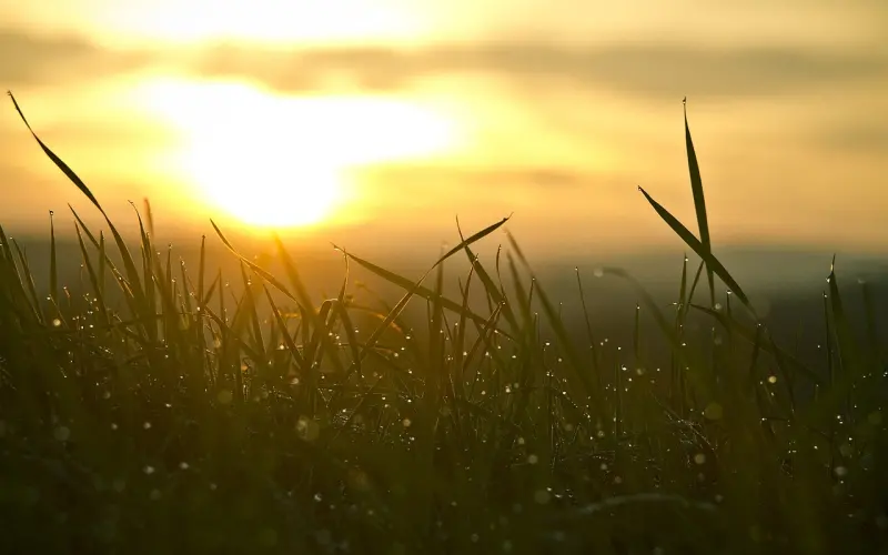 爱情要怎么才能开始？