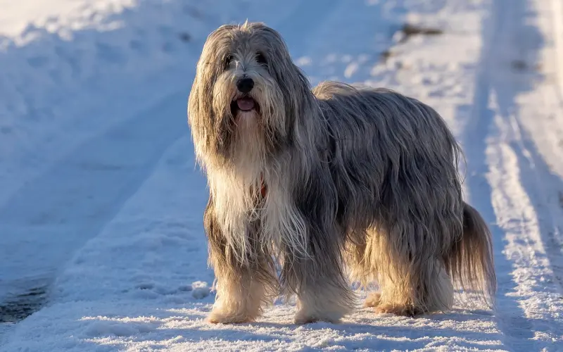 这样的渣男，不分留着过清明？
