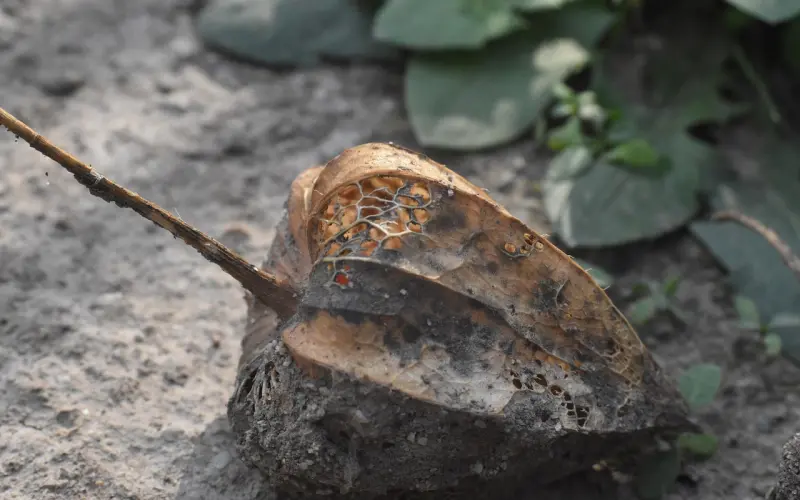 怎样吵架，才能越吵越亲密？