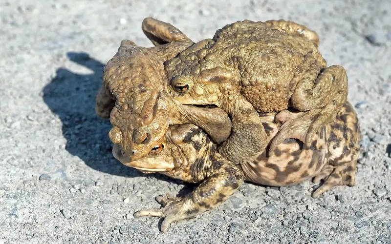 老公和你提离婚了怎么挽回？必看的情感修复指南